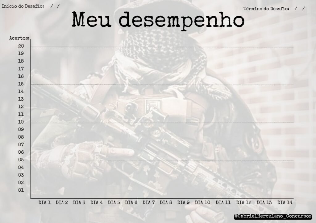 Meu desempenho
